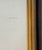 Antique Shell Engraving in Deep Inset Frame For Sale In San Francisco - Image 6 of 11