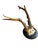 Roe Deer Trophy mouted on wood plaque. Abnormal antlers