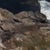 Blue Contemporary A Distant Haze by Jon Doran | Oil on Panel Sea Cliffs Above Breaking Surf For Sale - Image 8 of 12