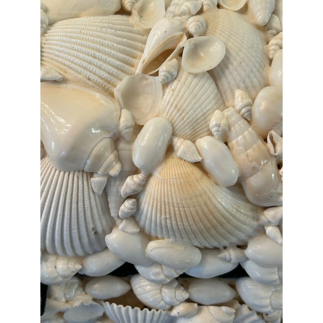 Late 20th Century Late 20th Century Coastal or Palm Beach Sailors Valentine White Shell Encrusted Box For Sale - Image 5 of 8