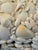 Late 20th Century Late 20th Century Coastal or Palm Beach Sailors Valentine White Shell Encrusted Box For Sale - Image 5 of 8