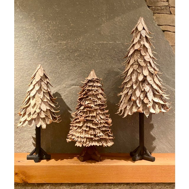 Set of 3 2000s Large Birch Trees For Sale - Image 9 of 9