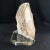 Mid-Century Modern Mid 20th Century Agatized Fossilized Coral Polished Florida Fossil on Lucite Base For Sale - Image 3 of 8