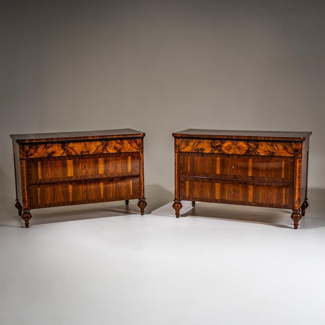 Chests of Drawers, Italy, 19th Century, Set of 2 For Sale - Image 10 of 10