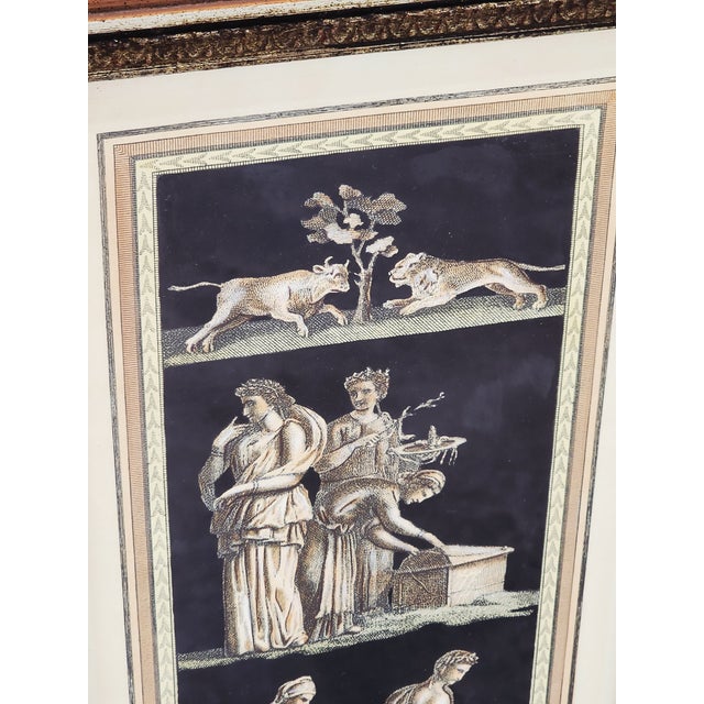 18th Century Neoclassical Engravings by Niccolo Vanni For Sale - Image 11 of 12