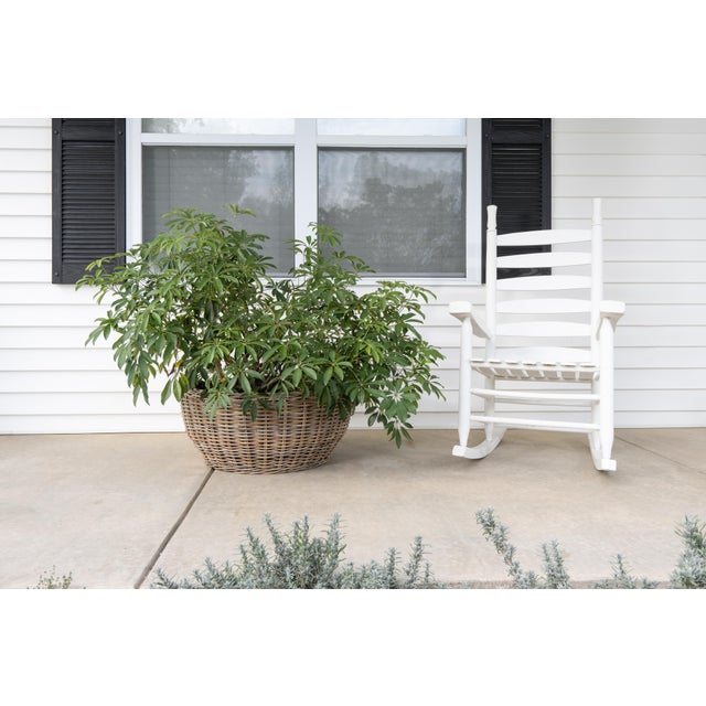 The Round Belly Rattan Planter brings warmth and texture to any space. Its soft, rounded shape is perfect for big leafy...