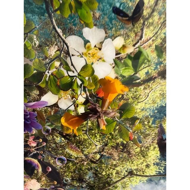 Ysabel LeMay “Life Goes on Ii” Signed Limited Edition Print With Certificate For Sale - Image 10 of 12