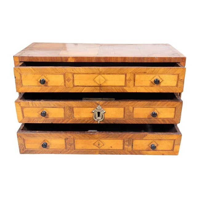 Austrian Tulipwood Miniature Chest of Drawers For Sale In Boston - Image 6 of 10