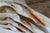 Set of 5 Large Natural Nautical Seashells | Coastal Beach House Decor | Organic Sculptural Display For Sale - Image 18 of 18