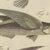 Bertuch, Flying Fish with a Flying Gurnard, 1805, Print For Sale - Image 4 of 12