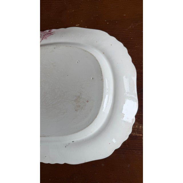 A Very Fine Antique Pink Transferware Decorated Staffordshire Platter "Asiatic Plants" Pattern, Circa 1840's For Sale - Image 10 of 14