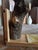 Olivia Coat Stand by Pietro Meccani for Meccani Arredamenti, 1989 For Sale - Image 13 of 15