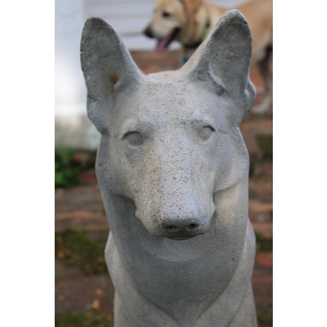 Large Pair of Pharaoh/Ibizan Hound Garden Statues by Pennoyer Newman For Sale - Image 13 of 16