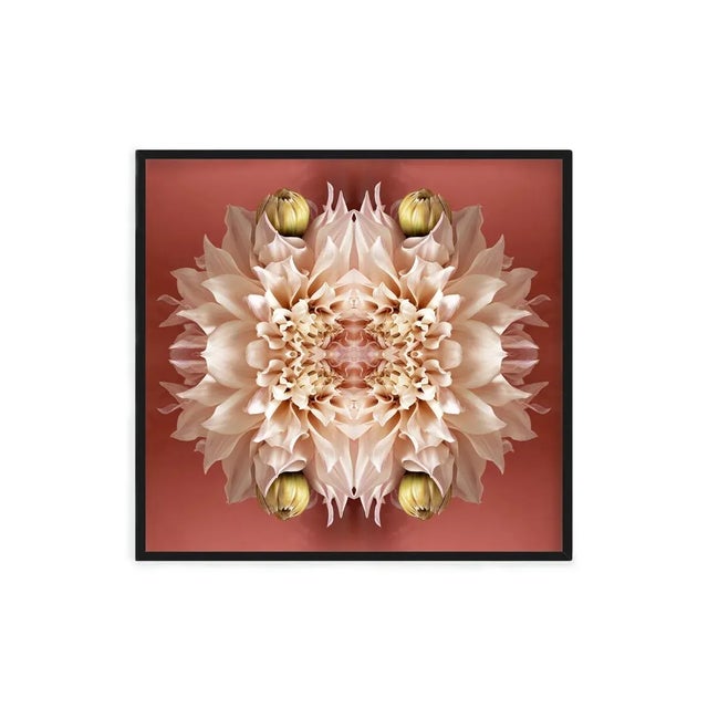 Not Yet Made - Made To Order "No. 130" Contemporary Original Op Art Botanical Limited Edition Photograph Print by Erin Derby For Sale - Image 5 of 5