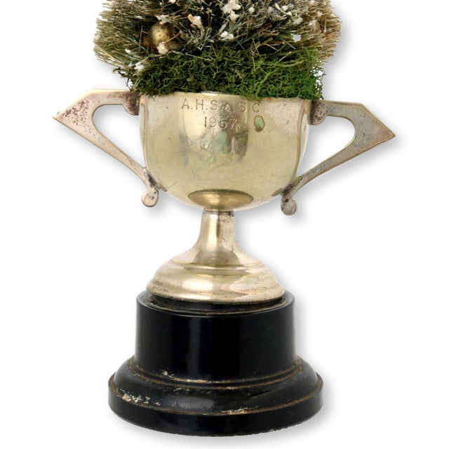 Bottlebrush Tree in 1957 Trophy For Sale - Image 4 of 5