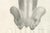 Paper Jules Cloquet, French Anatomical Lithographs of the Spine and Pelvis, 1821, Lithograph, Set of 3 For Sale - Image 7 of 10