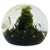 Scottish Art Glass Paperweight Decorative Object For Sale - Image 12 of 12