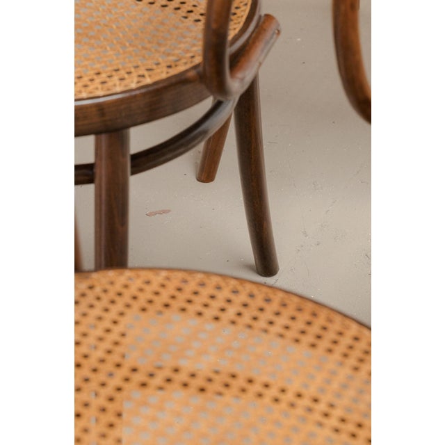 Model 209 Dining Chairs from Thonet, 1960s, Set of 6 For Sale - Image 9 of 13