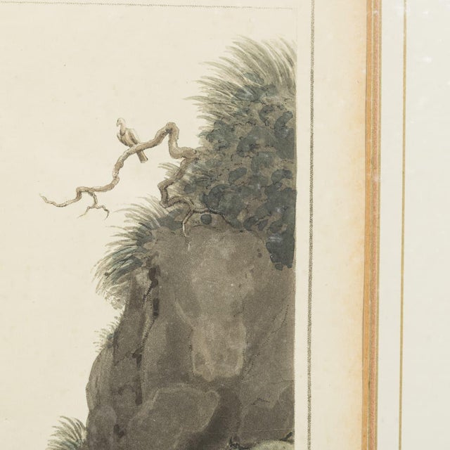 Edward Orme, Hunting Wolves in Their Dens, 1806, Engraving For Sale - Image 17 of 18