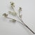 Vintage Italian Handmade Genuine Silver Orchid Branch Long Miniature, 1950s For Sale - Image 3 of 13