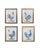 Roosters, 1920s, Oil Paintings on Panel, Framed, Set of 4 For Sale - Image 10 of 10