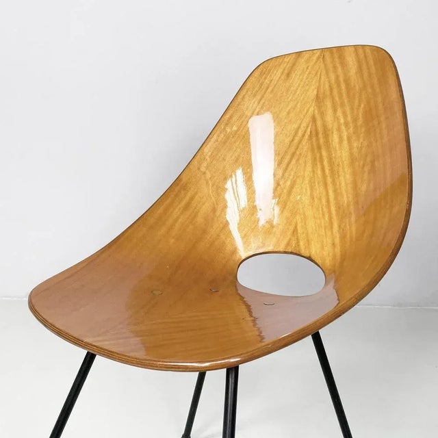 Set of Italian Modern Medea Chairs by Vittorio Nobili for Fratelli Tagliabue, 1960s For Sale - Image 6 of 18