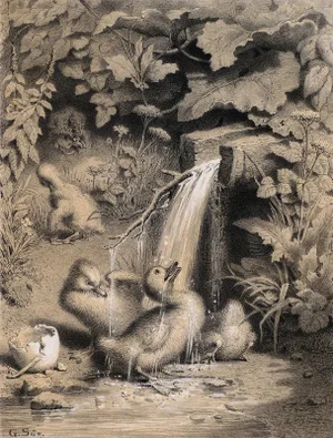 A Little Duckling - Original Lithograph - Late 19th Century Late 20th Century