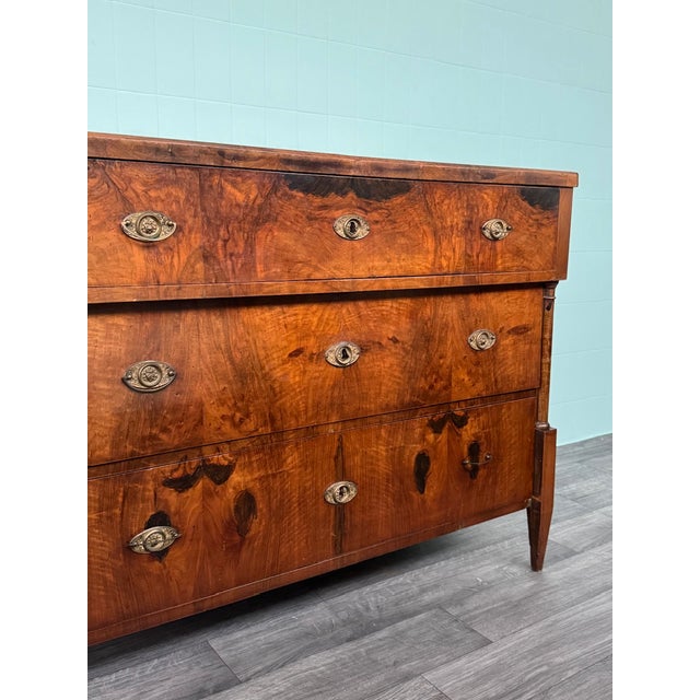 Antique Mid-19th Century Biedermeier Walnut Chest of Drawers, Germany For Sale - Image 16 of 18