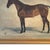 Late 19th Century English Thoroughbred Painting For Sale In Chicago - Image 6 of 11