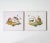 Ceramic Two 19th Century Majolica Tin Glazed Hand Painted Monkey Tiles For Sale - Image 7 of 11
