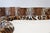 Safari Lounge Sofa by Archizoom Associates, 1968 For Sale - Image 11 of 18