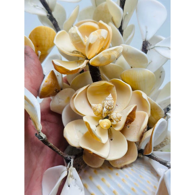 This is a vintage seashell floral arrangement crafted from natural shells. The design features delicate hand-assembled...