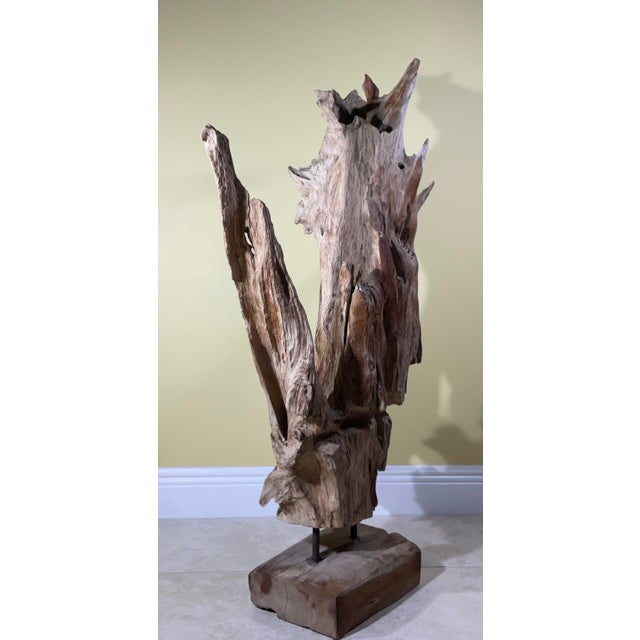 Large Natural Abstract Driftwood Sculpture For Sale - Image 9 of 12