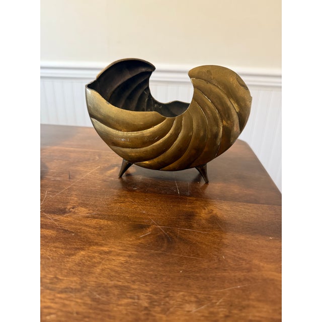 Late 19th Century Late 19th Century Hair Brass Nautilus Shell For Sale - Image 5 of 12