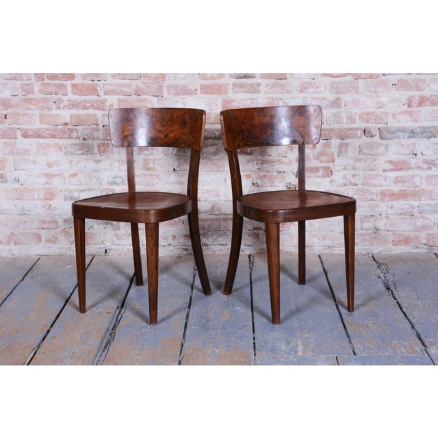 Art Deco Chairs in Beech and Walnut attributed to Thonet, Czech, 1940s, Set of 4 For Sale - Image 6 of 14