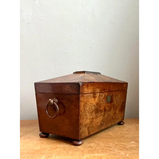 Wood Vintage Burl and Brass Decorative Box For Sale - Image 7 of 13