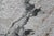 Haute Couture Calacatta Marble Elegance Power Loom Abstract Modern Rug 6' X 9' For Sale - Image 9 of 12