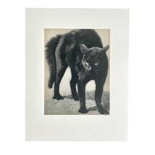 Martin Munkacsi Vintage Photogravure Circa 1930 For Sale