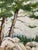 Contemporary Charming Watercolor Forest Lanscape Painting For Sale - Image 3 of 4