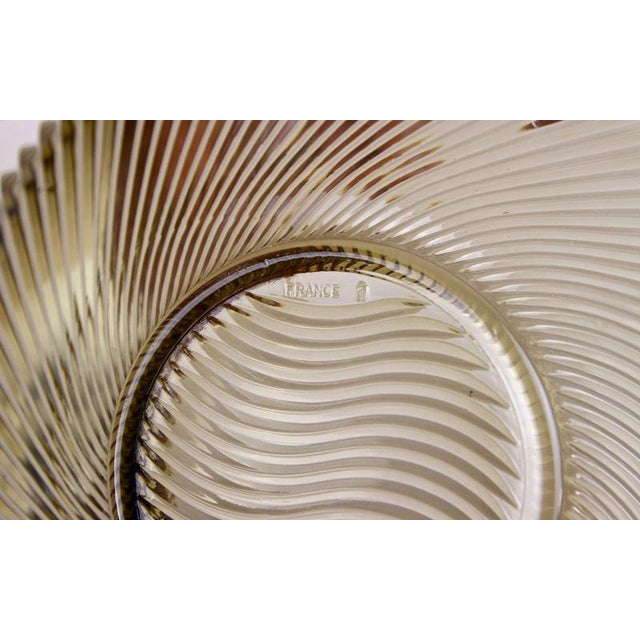 Mid-Century Modern Glass Bowl, France, 1960s For Sale - Image 14 of 16