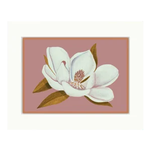"Vintage Magnolia" Floral Fine Art Print by Chambers Austelle