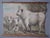 1940s Chillingham Cattle Family Chart For Sale - Image 5 of 5