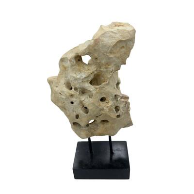 Tribal Indonesian Coral Stone On Teak Stand For Sale - Image 3 of 5