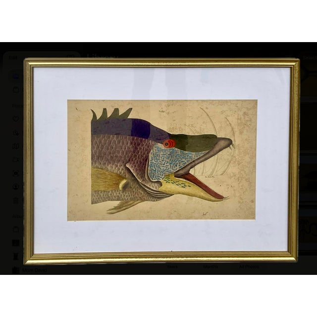 18th Century Framed Engravings by Mark Catesby, Set of Nine Natural History Art For Sale - Image 13 of 17