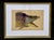 18th Century Framed Engravings by Mark Catesby, Set of Nine Natural History Art For Sale - Image 13 of 17
