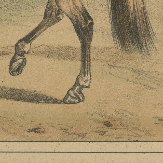 Beige José Rubio Y Villegas, Sabre Officers, 1861, Lithograph For Sale - Image 8 of 12