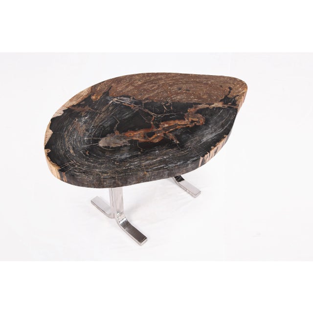 Made of one slab of petrified wood with beautiful natural flowing grain. The top of the slab is polished to show its...