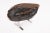 Made of one slab of petrified wood with beautiful natural flowing grain. The top of the slab is polished to show its...