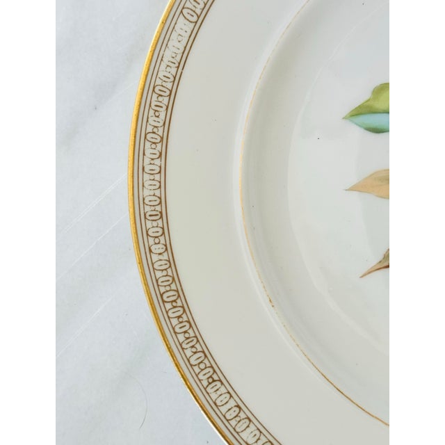 English Antique Holly Berry and Leaves Decorative Plate With Ornate Gold Trim For Sale - Image 3 of 8