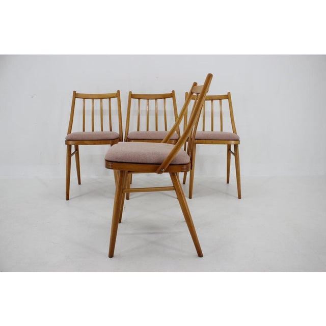 Wood Antonin Suman Beech Dining Chairs, 1970s, Set of 4 For Sale - Image 7 of 16